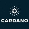 cardano