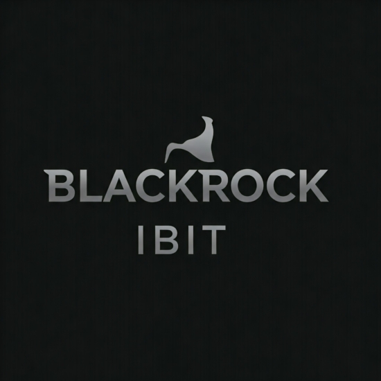 BlackRock's IBIT ETF investment chart showing rapid growth over time