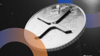「VivoPowerがXRP保有株に対する割引でRipple株を求める理由」