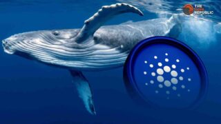 「カルダノ価格が重要レベルを試し、クジラが1億ADAを購入」