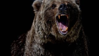 ビットコイン110Kドルを下回る、仮想通貨反発失敗でイーサリアム8%急落